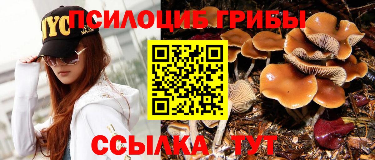 Саров  как найти закладки  Вход с VPN  Галлюциногенные грибы MAGIC MUSHROOMS 