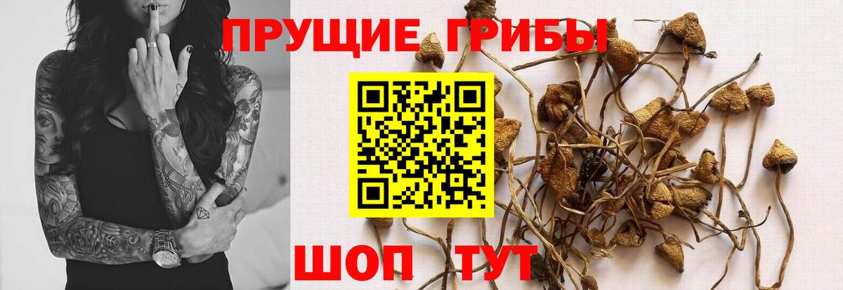 Псилоцибиновые грибы Magic Shrooms Саров